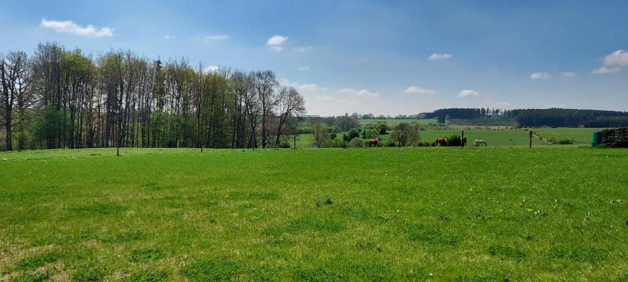 Maison Belle Vue Gouvy Екстериор снимка